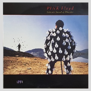 PINK FLOYD - DELICATE SOUND OF THUNDER/LIVE/2LP